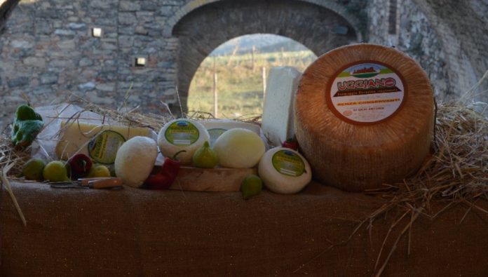 Azienda Di Gilio4