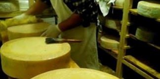 forme di val fredda