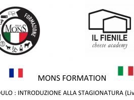 Mons Formazione