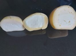 cheesella