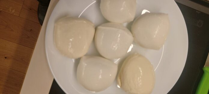 mozzarella